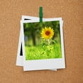 thumbnail image 1 of OULII 3Pcs Wooden Push Pin Clips for Bulletin Board Multi Colored Design Decor, 1 of 7
