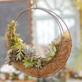 thumbnail image 4 of Moon Basket Specifications: Outer Diameter 28cm, Inner Diameter 22cm Succulent Iron Frame Purchase Order Instructions Require Hooks, 4 of 6