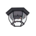 thumbnail image 1 of Two Light Outdoor Ceiling Mount, 1 of 1