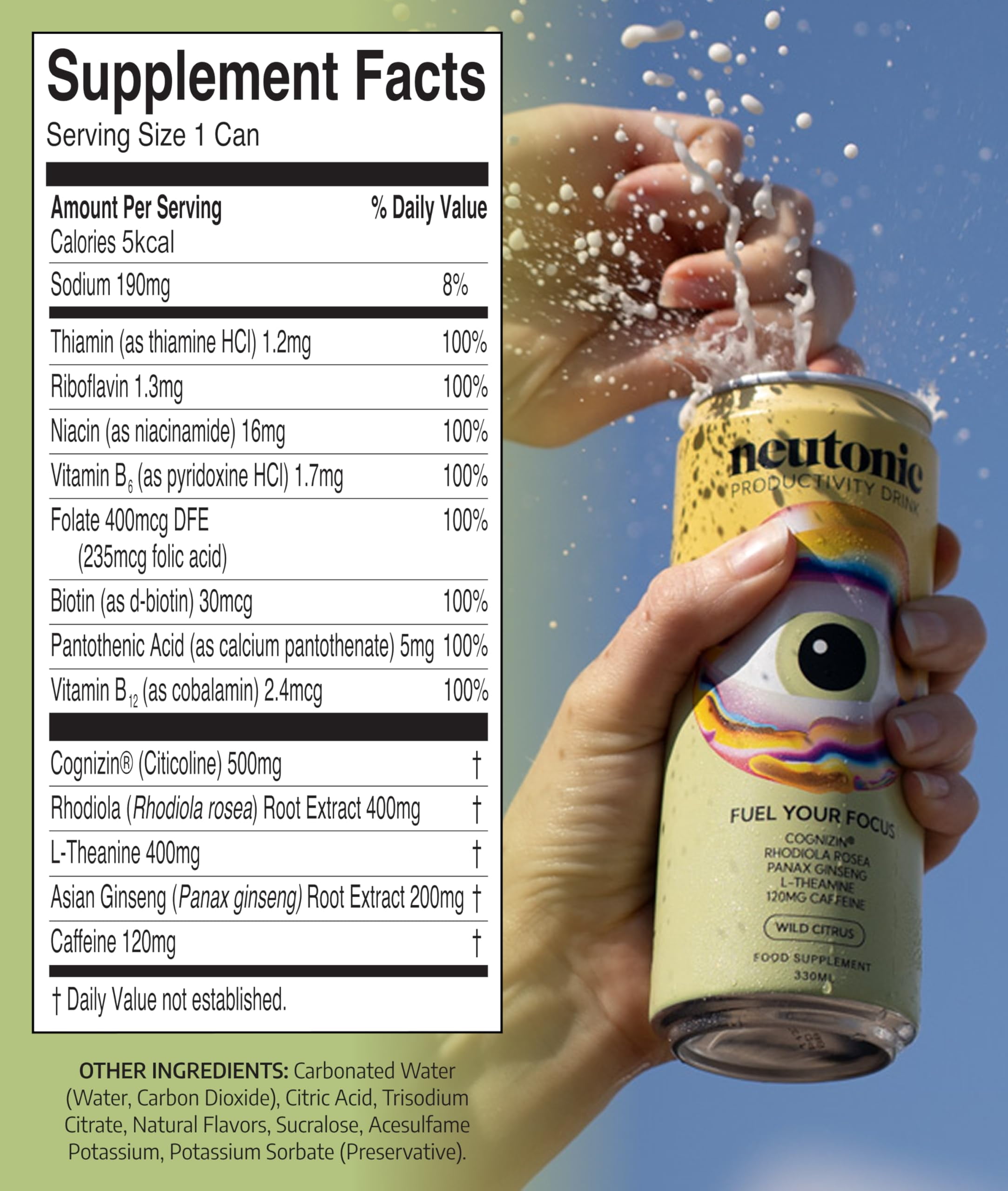 Neutonic Productivity Energy Drink | Wild Citrus | 12 Cans | 120mg Natural Caffeine | Zero Sugar | Focused Energy & Productivity Support