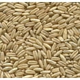 thumbnail image 2 of 2 lb Whole Oat Seeds, Wildlife, Deer, Food Plot, 2 of 2