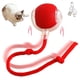 thumbnail image 2 of Pelota Rodante Interactiva para Gatos Super Drive, Pelotas Rodantes para Gatos con Sensor de Movimiento Activado por el Canto de los Pájaros, Juguete para Gatitos, 2 of 8