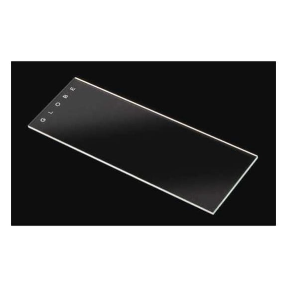 Globe Scientific Microscope Slide,Clear,Glass,PK144 1301