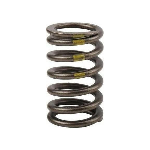 Valve Spring - Compatible with 2010 - 2017 Chevy Equinox 2011 2012 2013 2014 2015 2016