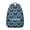 Sky-blue-15, variant on Fresh Watermelon Themed School Backpack - Waterproof & Lightweight Bookbag for College Students with Padded Back Panel