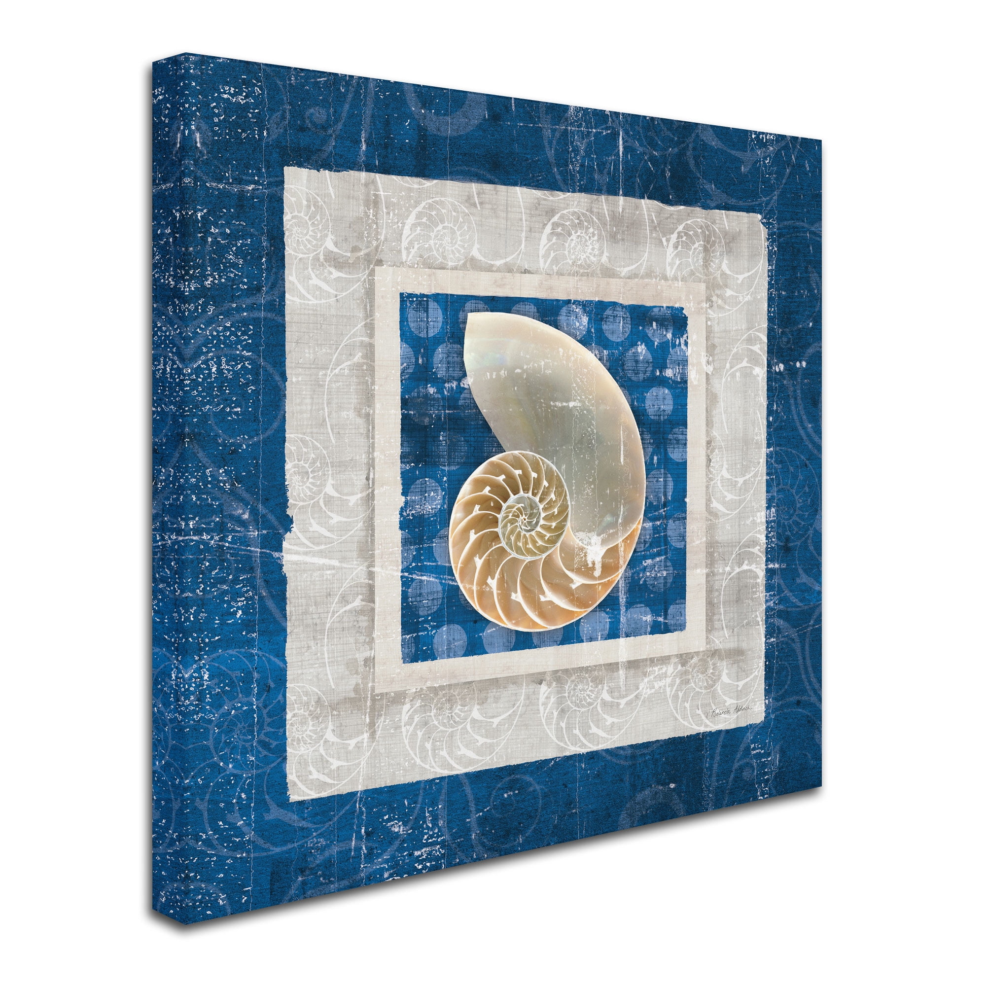 Trademark Fine Art "Sea Shell II on Blue" Canvas Art by Belinda Aldrich