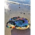 thumbnail image 2 of Beautiful Large Abalone Shell, Hand Selected Smudge Bowl, Size Choices w/ Wood Stand Option, 2 of 3