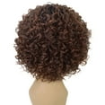 thumbnail image 3 of LUXLUXE Gabrielle Curly Pixie 12 in Long Full Wig No Lace Wig, Heat Resistant Fibers, 16+ Shades of Natural, Dip Dyed, & Blended Colors, 3 of 4