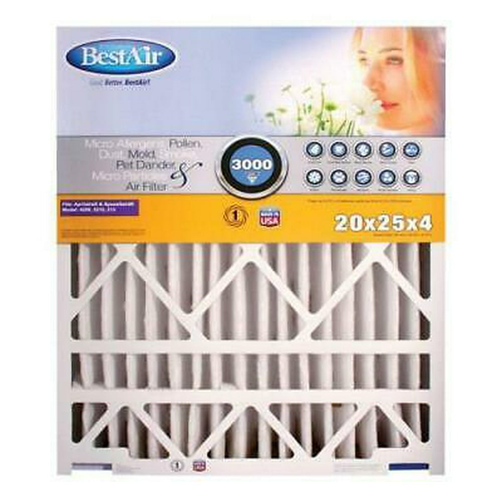 BestAir 20 in. W x 25 in. H x 4 in. D 13 MERV Pleated Air Filter (Pack