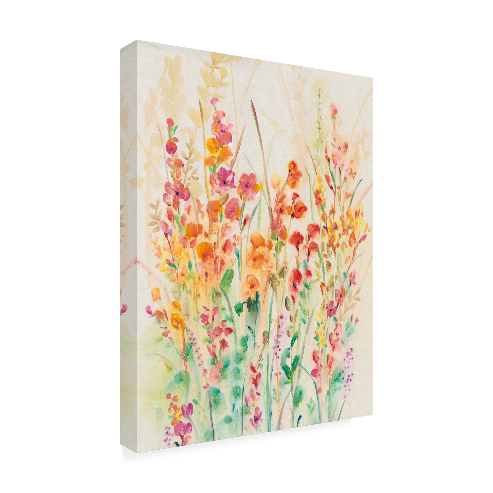 Trademark Fine Art 'Brilliant Floral II' Canvas Art by Tim OToole
