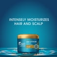 thumbnail image 6 of Head and Shoulders Royal Oils Deep Moisture Masque Conditioner with Coconut Oil, 7.6 fl oz, 6 of 10