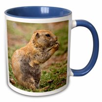 3drose, Oklahoma. Prairie Dog - Us37 Mde0015 - Michael Defreitas, 15oz Two-tone Blue Mug
