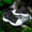 New Black, variant on New Women'S High-Top Casual Sports Ankle Boots for Spring And Autumn, Featuring a Stylish Minimalist Design with Side Zipper Decoration, Lightweight Comfort, And Thick Sole for Added Height