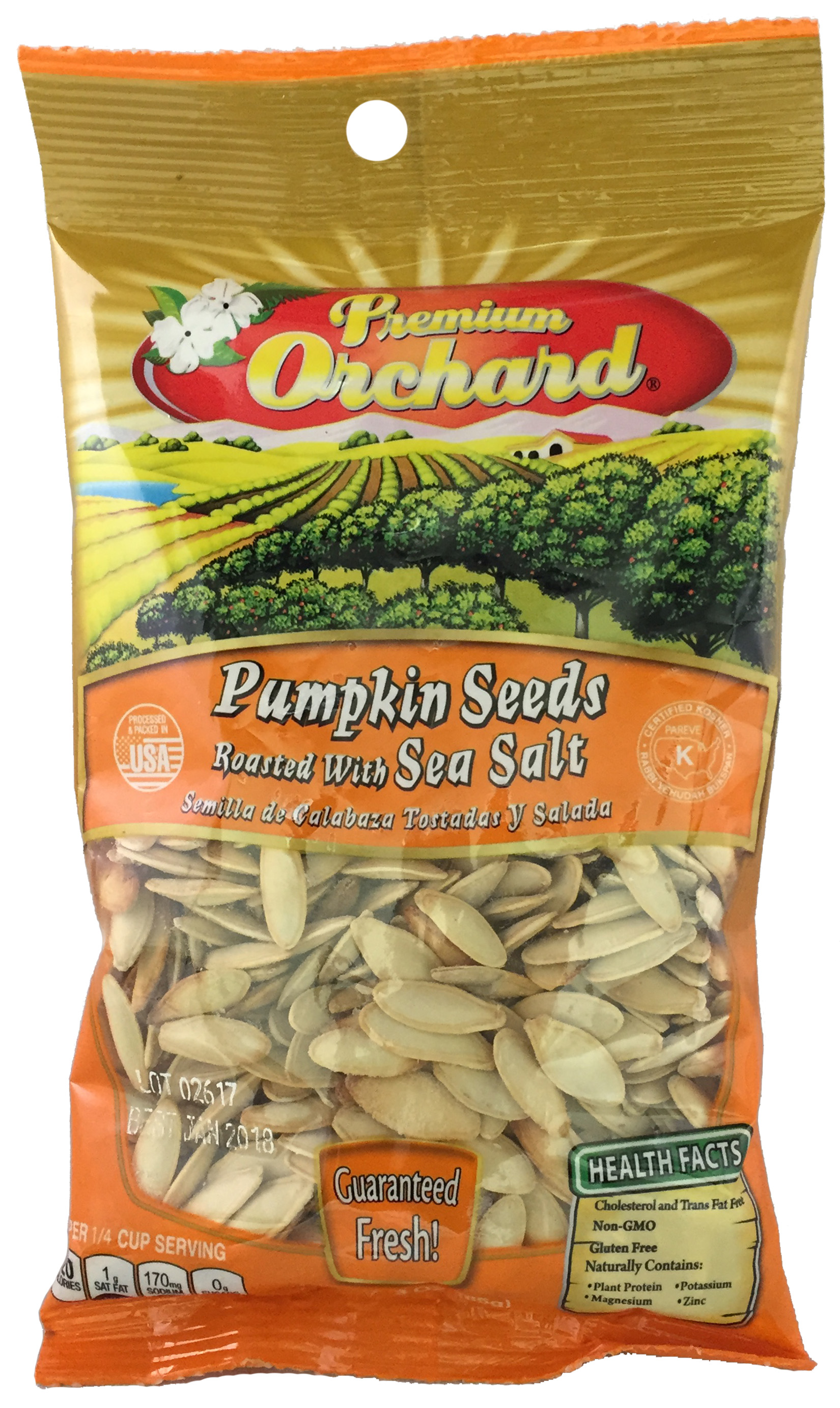 Pumpkin Seed Salted 3 oz