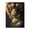 500 Pieces, variant on Lion Holding Sphere 500-Piece Wooden Jigsaw Puzzle for Adults, Fun & Challenging Family Brain-Teaser, Perfect Home Decor & Gift