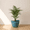 Blue, variant on Ecobo 12.6 inches Eco-Friendly Round Pot Planter Onda Indoor/Outdoor use, Durable, Versatile & Lightweight, Designed by Brazilian Artisans, Contemporary All-Weather Design –Red