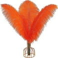 thumbnail image 1 of XmhyTop Plumas de avestruz naranjas, 12 unidades, grandes, naturales, a granel, 12-14 pulgadas, 30-35 cm, para centros de mesa de bodas, fiestas, Pascuas, Gatsby y decoración del hogar, 1 of 4
