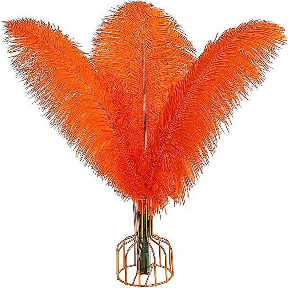 Nvzi Orange Ostrich Feathers 12pcs Large Natural Bulk 12-14Inch 30cm-35cm for Wedding Party Centerpieces Easter Gatsby and Home Decoration Feathers