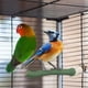 thumbnail image 3 of Jaula para pájaros Standing Rod Rope Perch | Palo afilador de garras para loros cacatúas Agapornis | Duradero y fácil de instalar | 25cm de longitud | Azul Marrón Verde Amarillo | 1 Paquete, 3 of 5