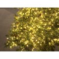 thumbnail image 2 of Party Ornaments Wedding Decor Christmas Cluster Lights LED 5.5 ft Green Wire Plug In Warm White, 2 of 4