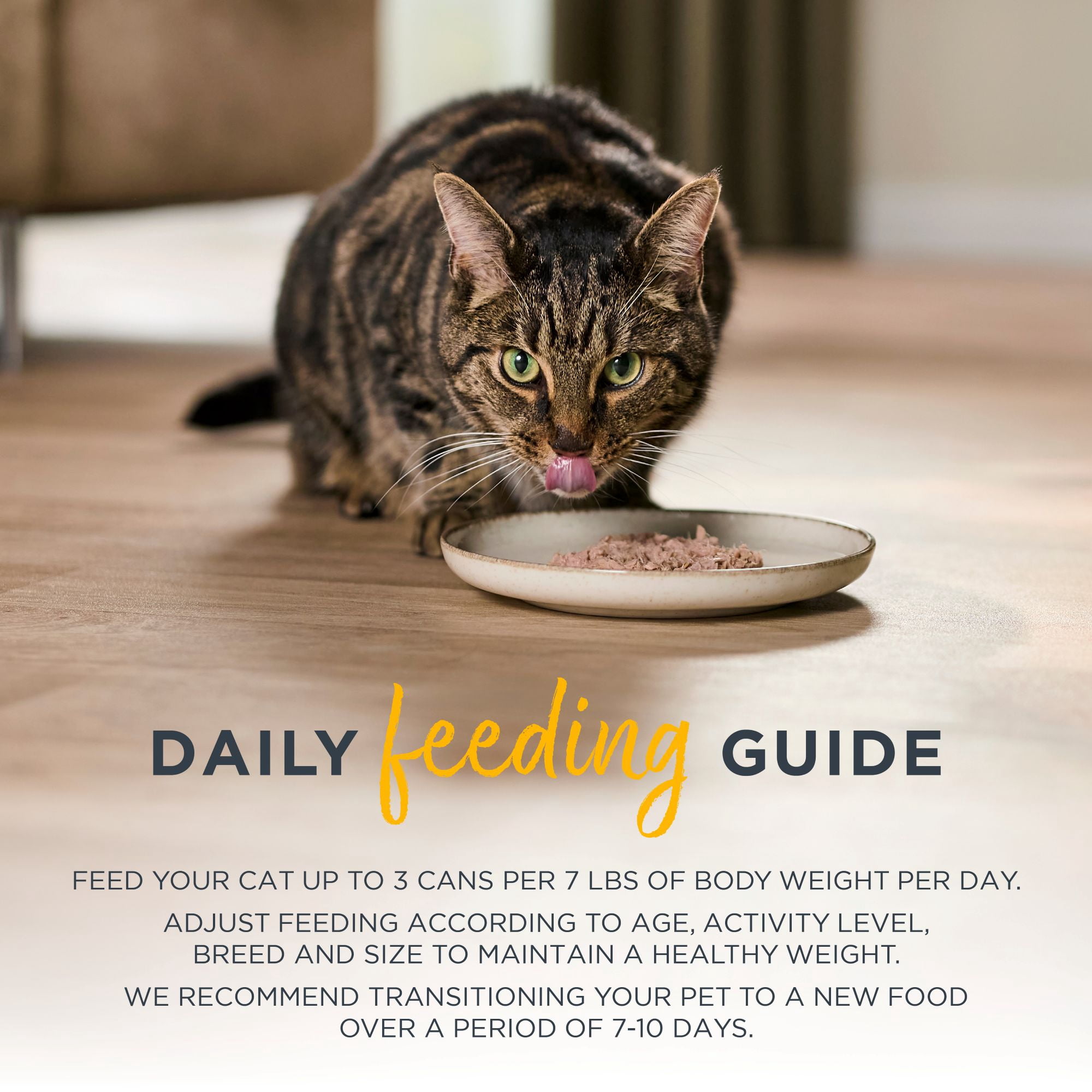 (24 pack) Reveal Pet Food Entrees Natural Wet Cat Food Tuna Fillet with Crab in Broth 2...