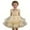 B6/Light Yellow, variant on JCCXIN Girl Dress Girls Formal Party Dress Tutu Gown For Birthday Recital Girl Holiday Casual Dress Wedding Lovely 18-24 Months