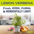thumbnail image 4 of MRS. MEYER'S CLEAN DAY Liquid Laundry Detergent, Infused with Essential Oils, Lemon Verbena, 64 oz - Pack of 2 (128 Loads), 4 of 5