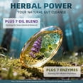 thumbnail image 6 of Wormwood Black Walnut Clove Cleanse for Humans Softgels Supplement w/ 7 Oils & 7 Enzymes, 20-in-1 Formula for Gut Cleanse & Digestive Support, 120 Count by Lukaree, 6 of 7