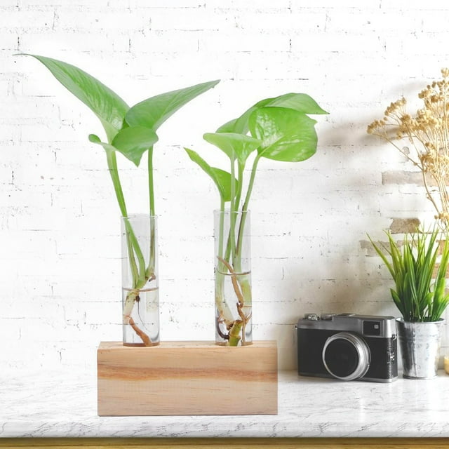 Desktop Plant Terrarium,Glass Test Tube Flower Hydroponic Plant Vase Glass Test Tube Multi-Functional