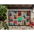 thumbnail image 3 of Carolines Treasures MLM1087MAT 18 x 27 in. Unisex Lots of Bernese Mountain Dog Doormat, 3 of 5
