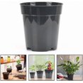 thumbnail image 2 of Transparent plastic plant pots for home and garden, set of 10, designed for various plant species (7.6 cm / 3 inches)., 2 of 5