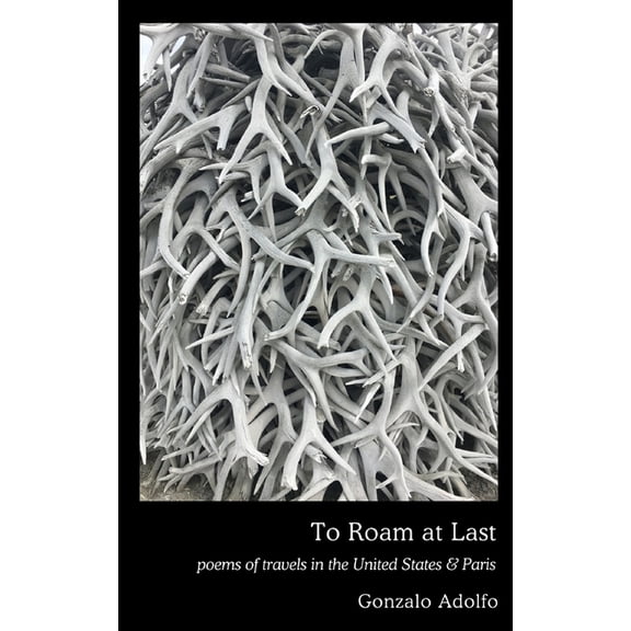 To Roam at Last: poems of travels in the United States & Paris, (Paperback)
