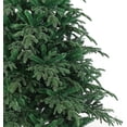 thumbnail image 3 of Le Grand Sapin de Noël Fraser Fir (7 Pi Non Éclairé), 3 of 4