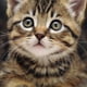 thumbnail image 1 of Kit de pintura de diamante Monstrate 5D gato sorpresa Decoración del hogar, 1 of 6