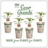 4-Pack, 4.25 in. Eco+Grande, Hungarian Hot Wax Pepper Live Plant Vegetable