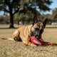 thumbnail image 5 of Juguete Balon con cuerda para perro NFL Kansas City Chiefs 100% oficial, 5 of 6