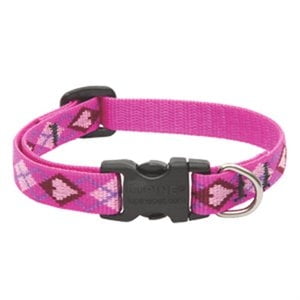 Dog Collar, Adjustable, Puppy Love, 1/2 x 10 to 16-In. -14235