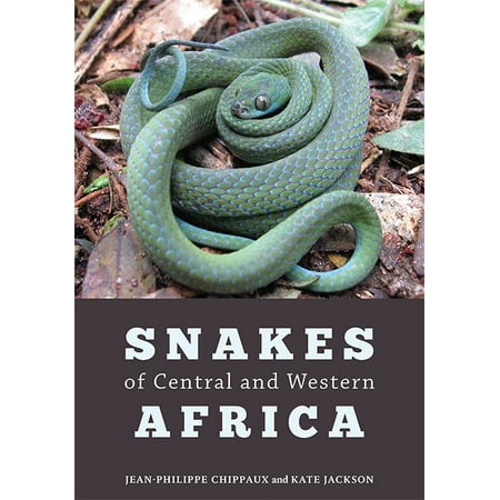 Snakes of Central and Western Africa (Best Protein Shakes South Africa)