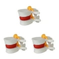 thumbnail image 2 of Youkk Easy-to And Effective Teaching Tool Wide Application Lumbar Vertebrae white 3Set, 2 of 6