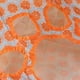 thumbnail image 4 of 4 Style Cat Tunnel Bags for Indoor Cats, New Pet Cat Play Tunnel Toy, 4 of 5