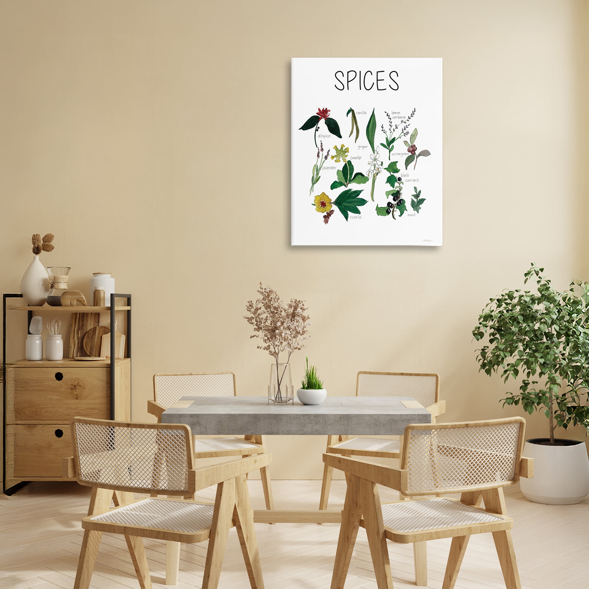 Stupell Industries Spices Identification Chart Canvas Wall Art, design by Carol Robinson