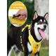 thumbnail image 5 of Pechera Arnés De Seguridad Para Perro Chico Mediano Y, 5 of 8