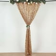 BalsaCircle 8 feet x 8 feet Matte Champagne Big Payette Sequin Backdrop ...