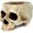 Skull Antique White, variant on Fountwell Resin Skull Planter with Drain Hole Gothic Flower Pot Candy Bowl for Home Office Desk White