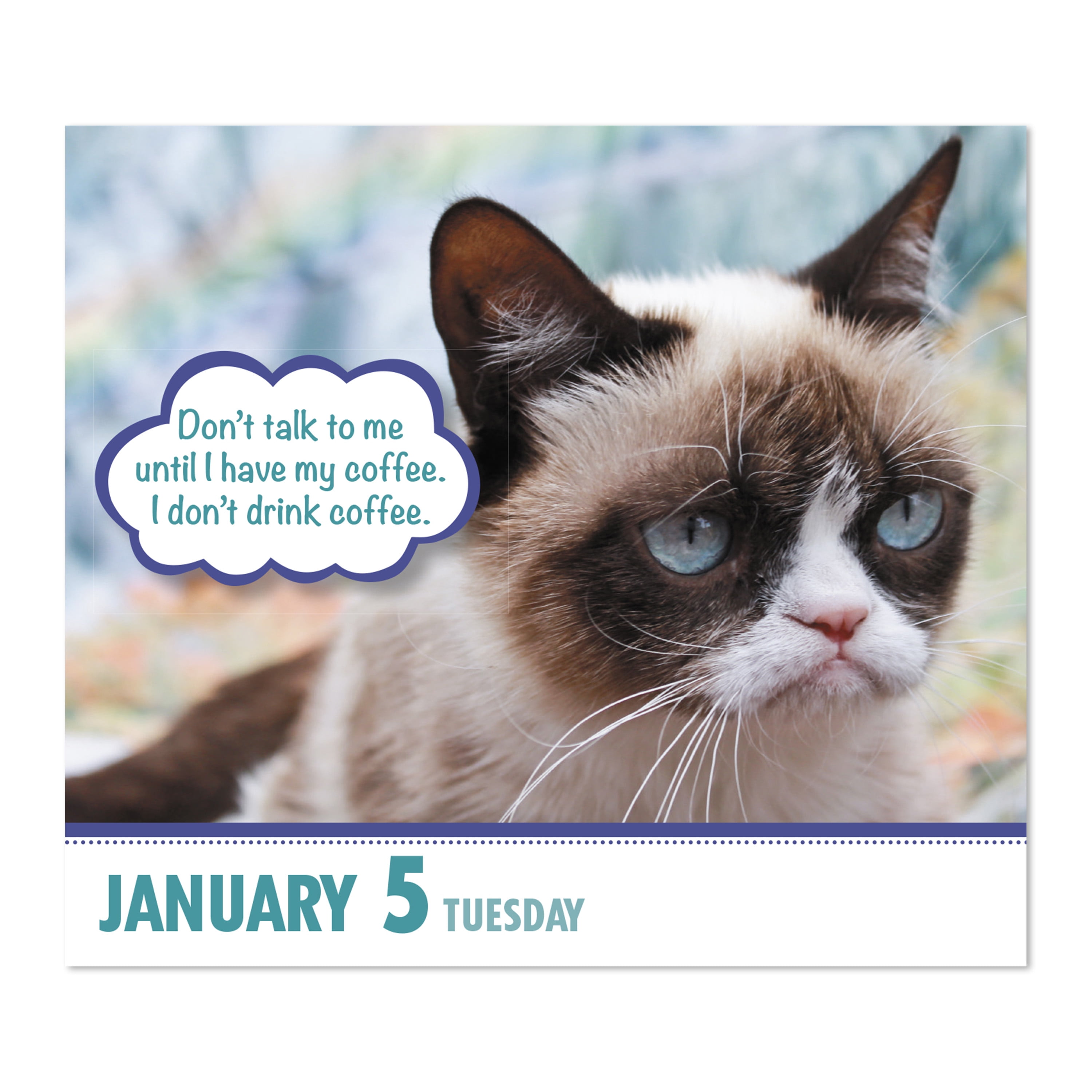 Mead January 2021 December 2021 Year In A Box Calendar Grumpy Cat Walmart Com Walmart Com grumpy cat calendar 2021 january
