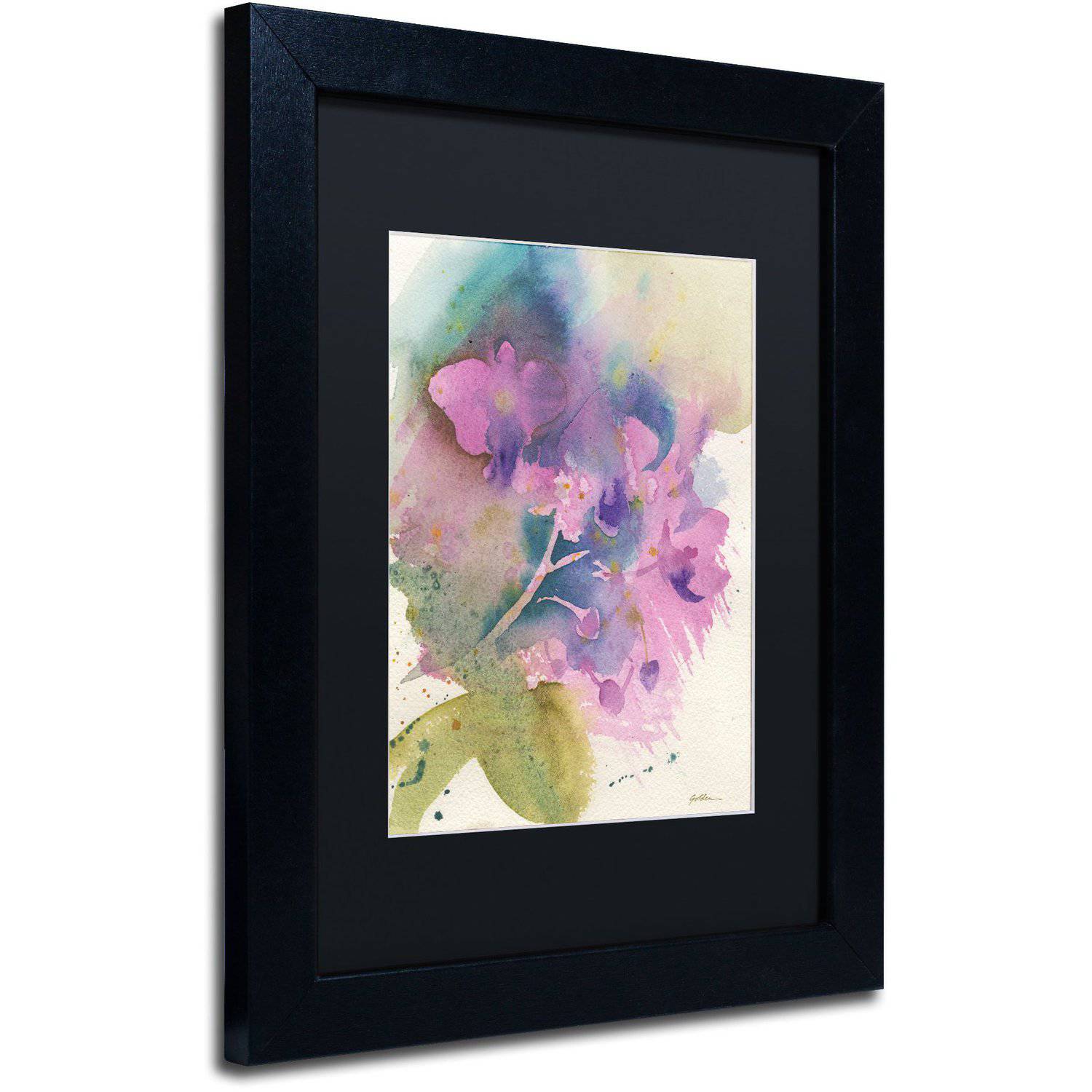 Trademark Fine Art "Orchid Dream" Canvas Art by Sheila Golden Black Matte, Black Frame