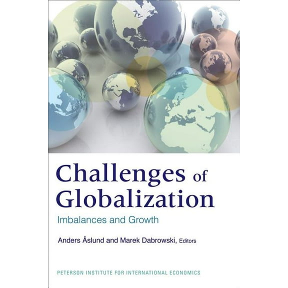 The Challenges of Globalization (Paperback)