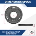 thumbnail image 2 of FlexWave Cast Iron Weight Plates, 2" Center Hole, Pair Set with 3-Grip Handles, Gray Rust-Resistant Finish, 2 of 6