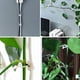 thumbnail image 5 of Clips de soporte para plantas trepadoras, 50 Uds., soporte de gancho autoadhesivo para montaje en pared para plantas trepadoras, decoración del hogar (blanco), 5 of 5