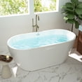 thumbnail image 3 of FerdY Bali 59" Acrylic Freestanding Bathtub in Modern White. FerdY-02538-1500, 3 of 9